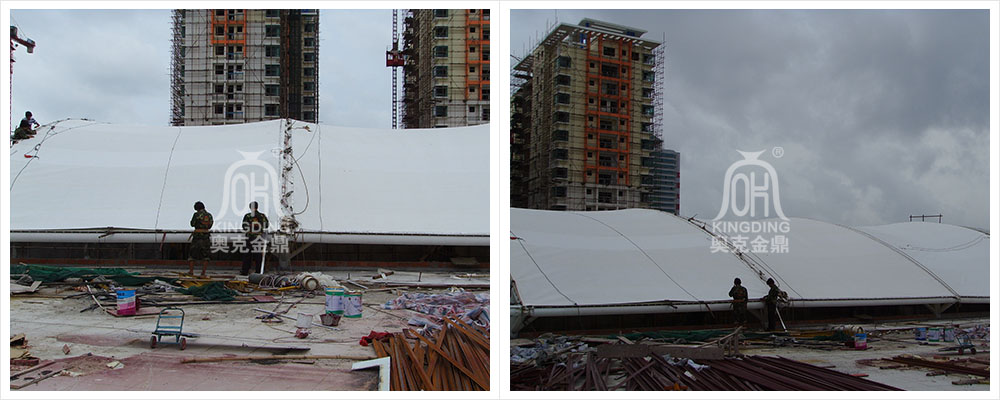 1612074187572867.jpg 2.jpg