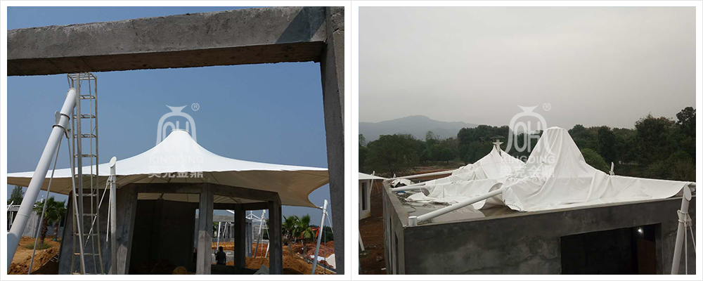 1612164190606110.jpg B.jpg